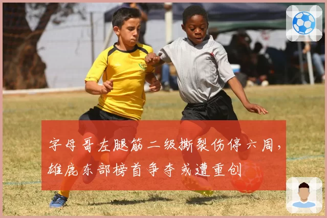 字母哥左腿筋二级撕裂伤停六周,雄鹿东部榜首争夺或遭重创